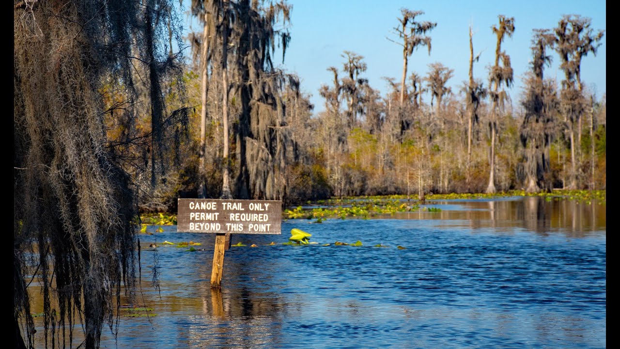 Okefenokee 3 Night Adventure; Floyds, Big Water and Mixons Hammock