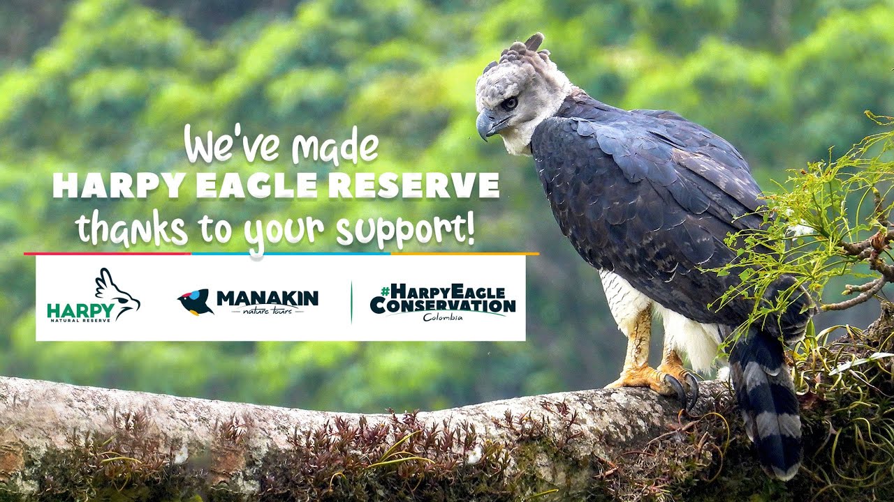 We've made HARPY EAGLE RESERVE thanks to your support - Manakin Nature Tours
