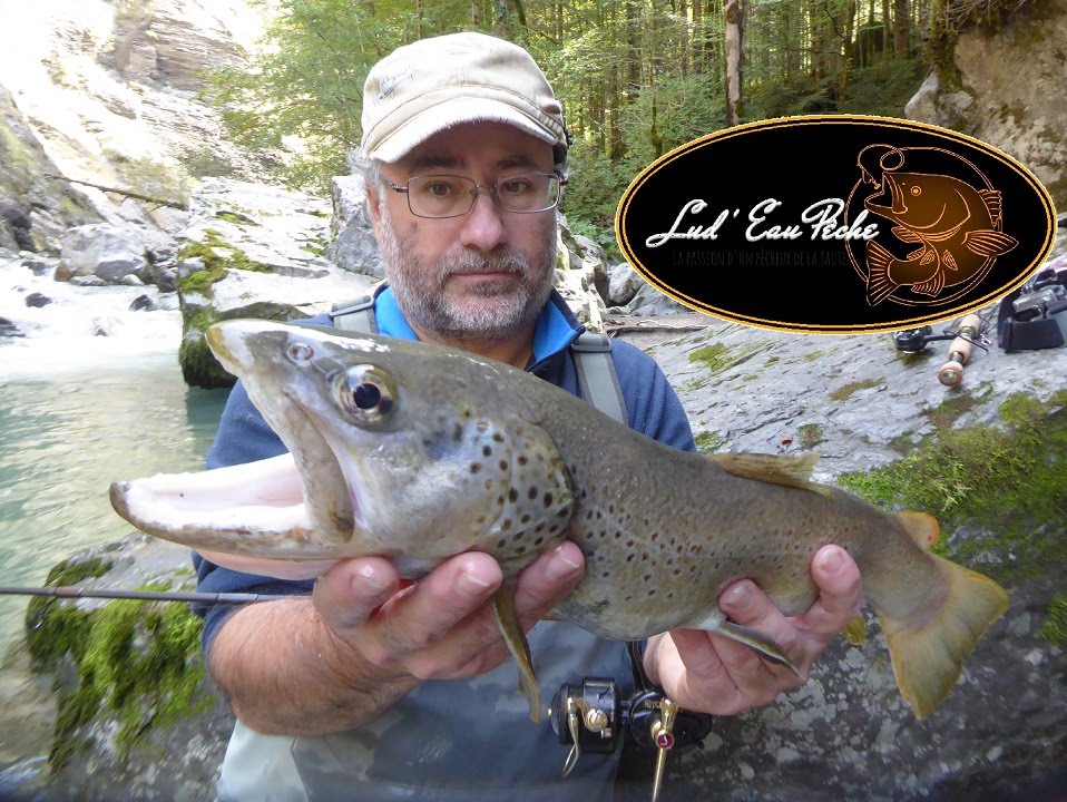 Deux grosses truites de torrent avec Herv&eacute; Charpenel - Haute-Savoie