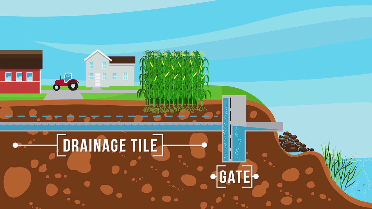 Drainage Water Management Structure Conservation | Ohio Demo Farms