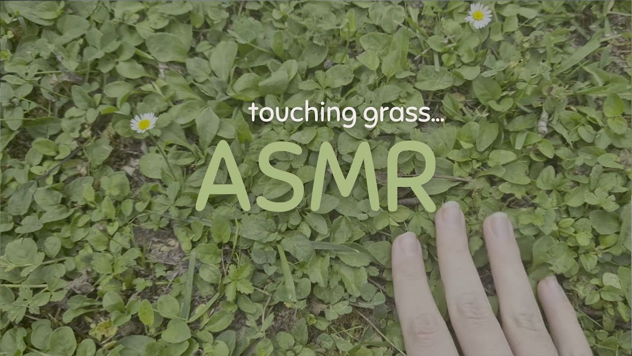 for those who didn't touch grass today (outdoor ASMR) (water, cicadas and 🫧)