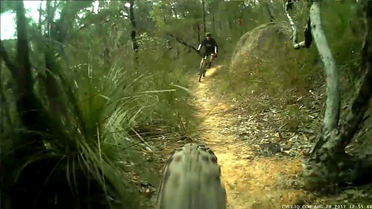 MTB Explore