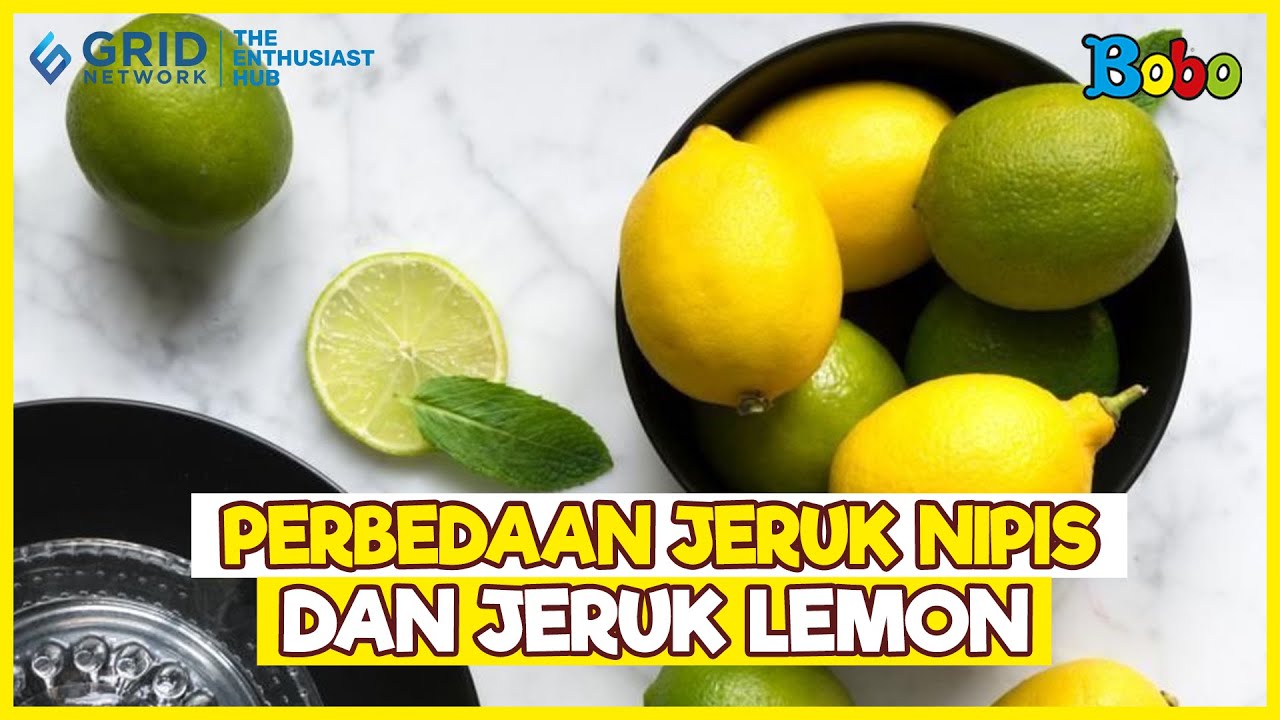 Fakta Menarik - Perbedaan Jeruk Nipis dan Jeruk Lemon, Salah Satunya Lebih Asam