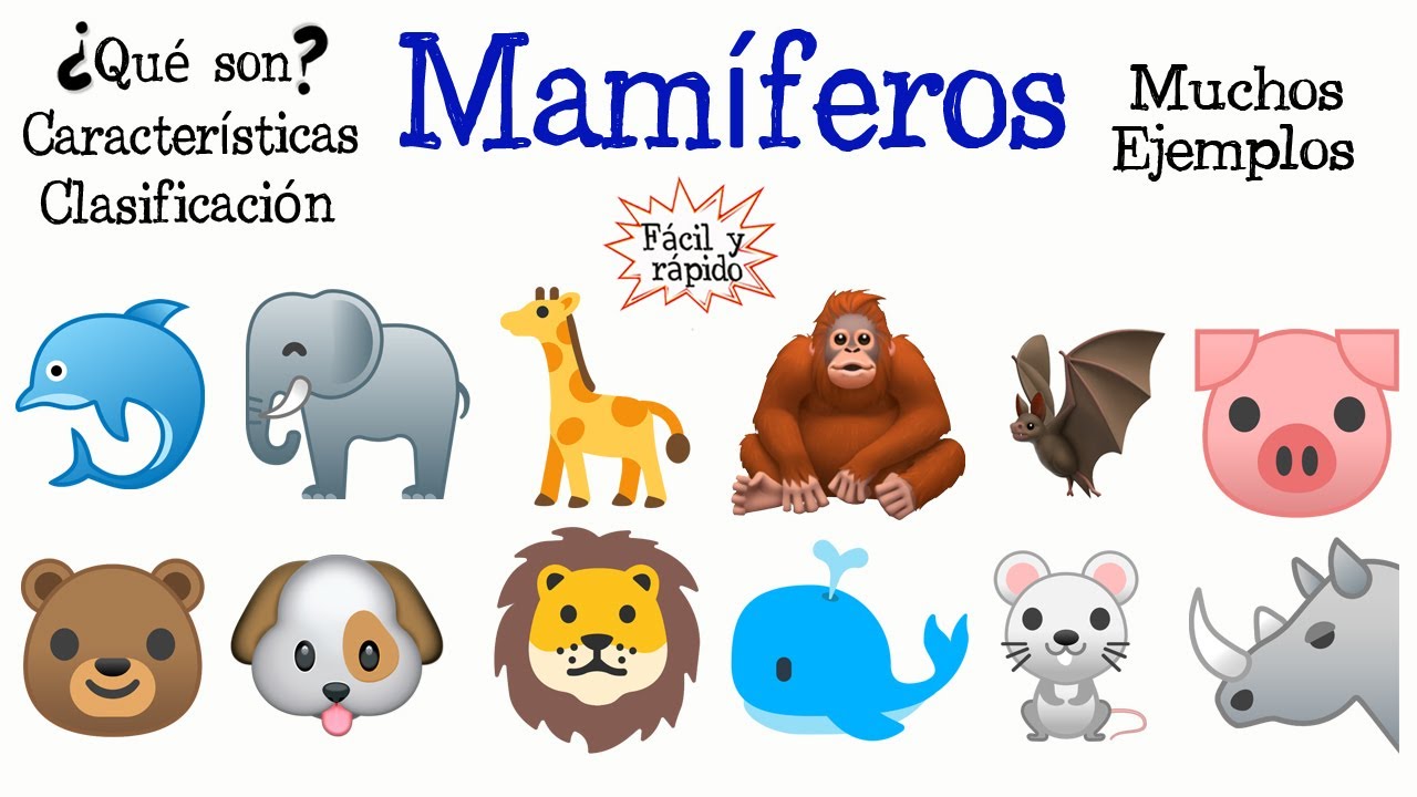 🙊 &iquest;Qu&eacute; son los mam&iacute;feros? 🐳 [F&aacute;cil y R&aacute;pido] | BIOLOG&Iacute;A |