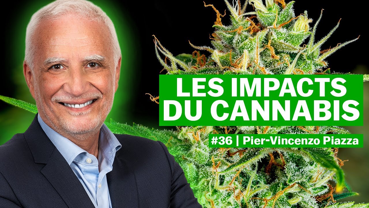 Ce Que Le Can**bis Fait Vraiment À Ton Cerveau - Pier-Vincenzo Piazza