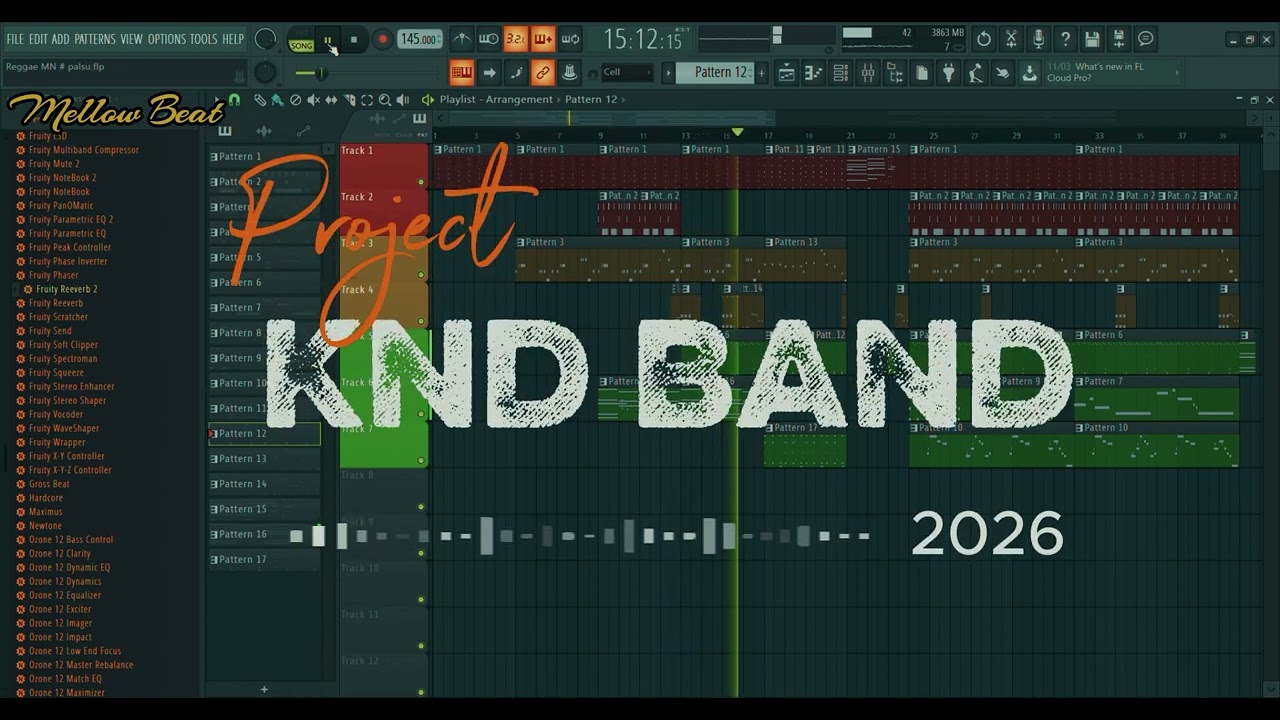 Reggae Roots KND BAND ( Project 2026 )