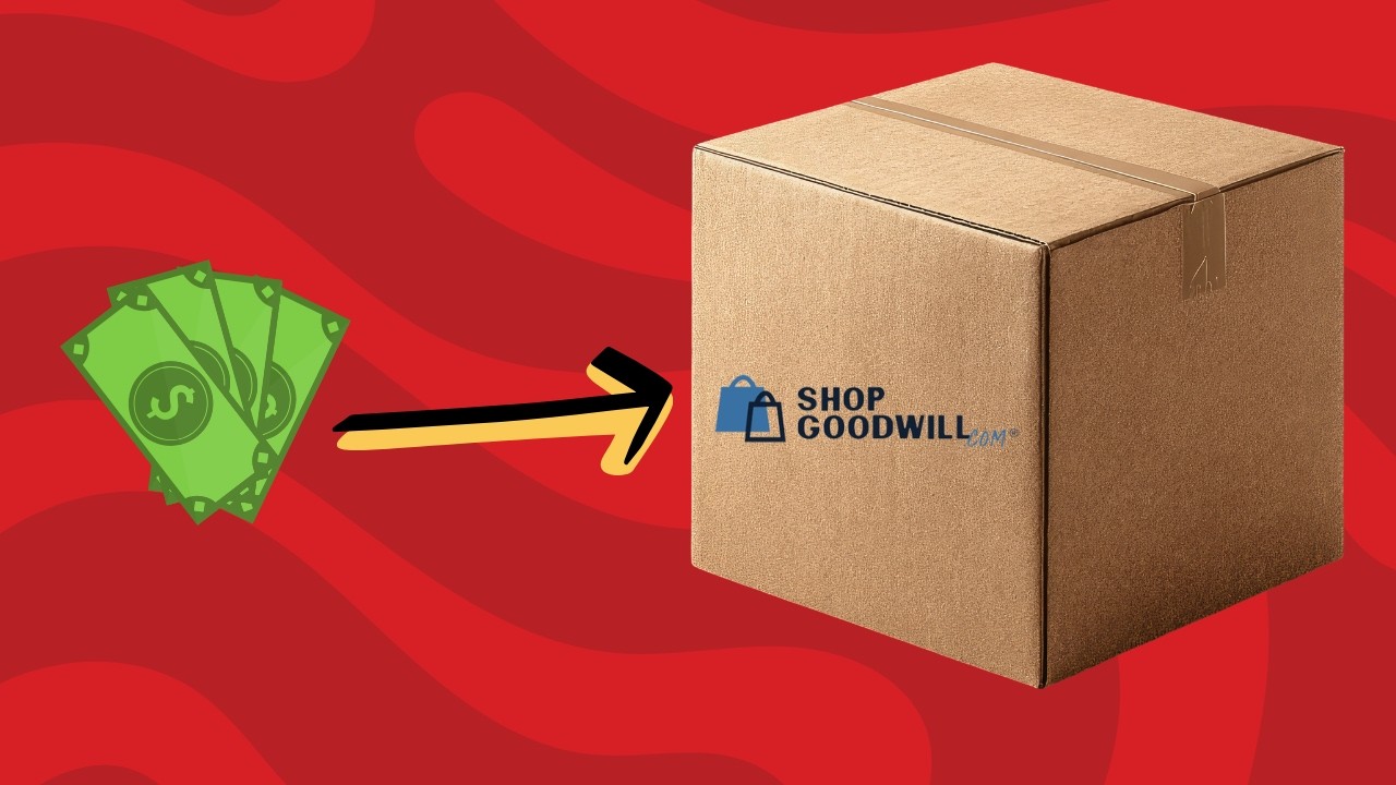 I Opened a ShopGoodwill Mystery Box&hellip; And It Changed EVERYTHING