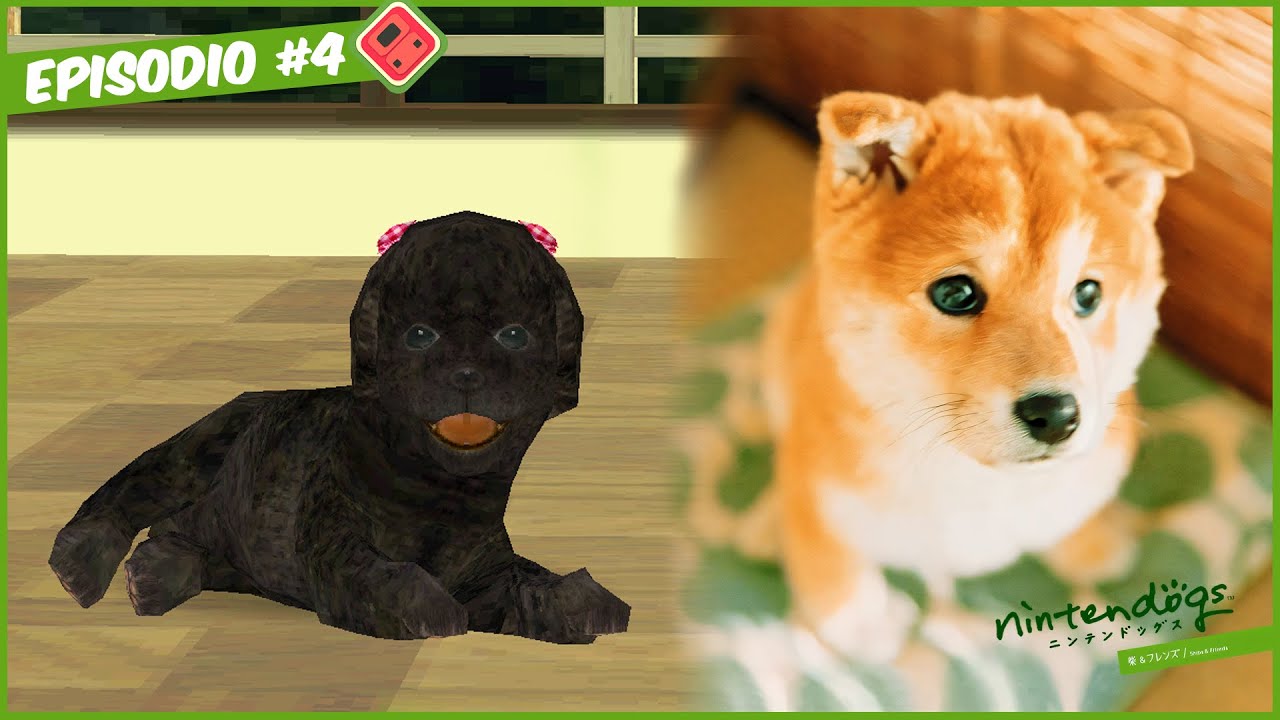 Nintendogs 柴&フレンズ | EPISODIO #4 [ITA]