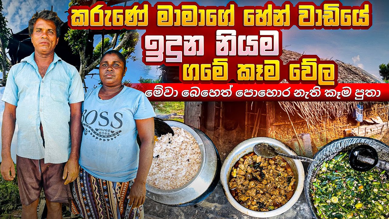 කරුණේ මාමාගේ හේන් වාඩියේ ඉදුන නියම ගමේ කෑම වේල 👩‍🌾මේවා බෙහෙත් පොහොර නැති කෑම පුතා #srilanka 