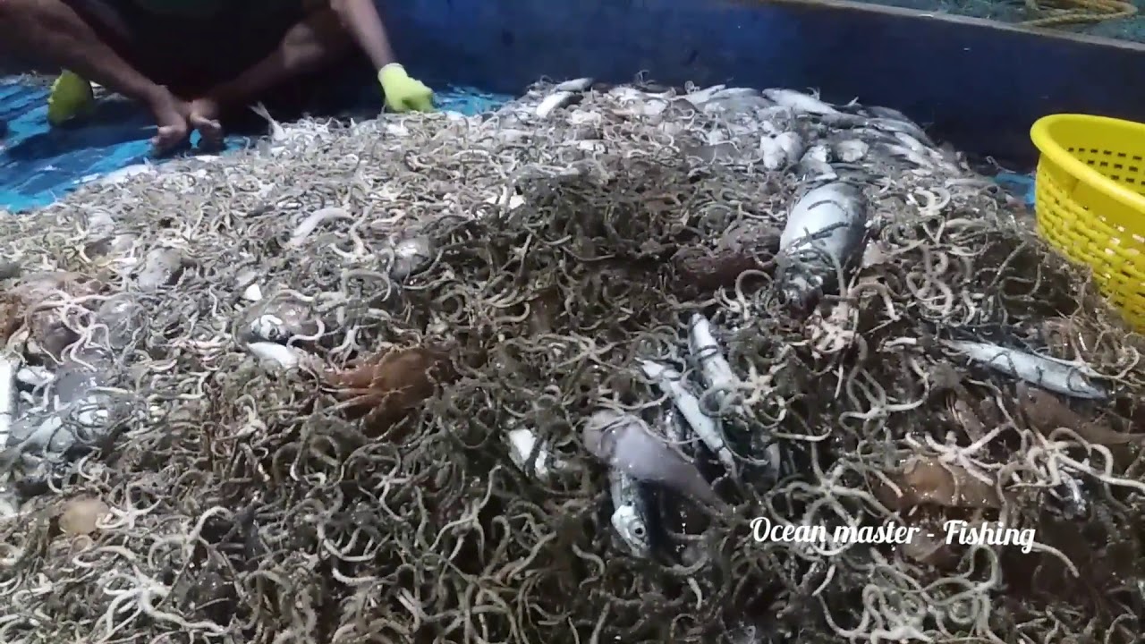OMG ! Fisherman fighting to take out fish and playing with poison snake