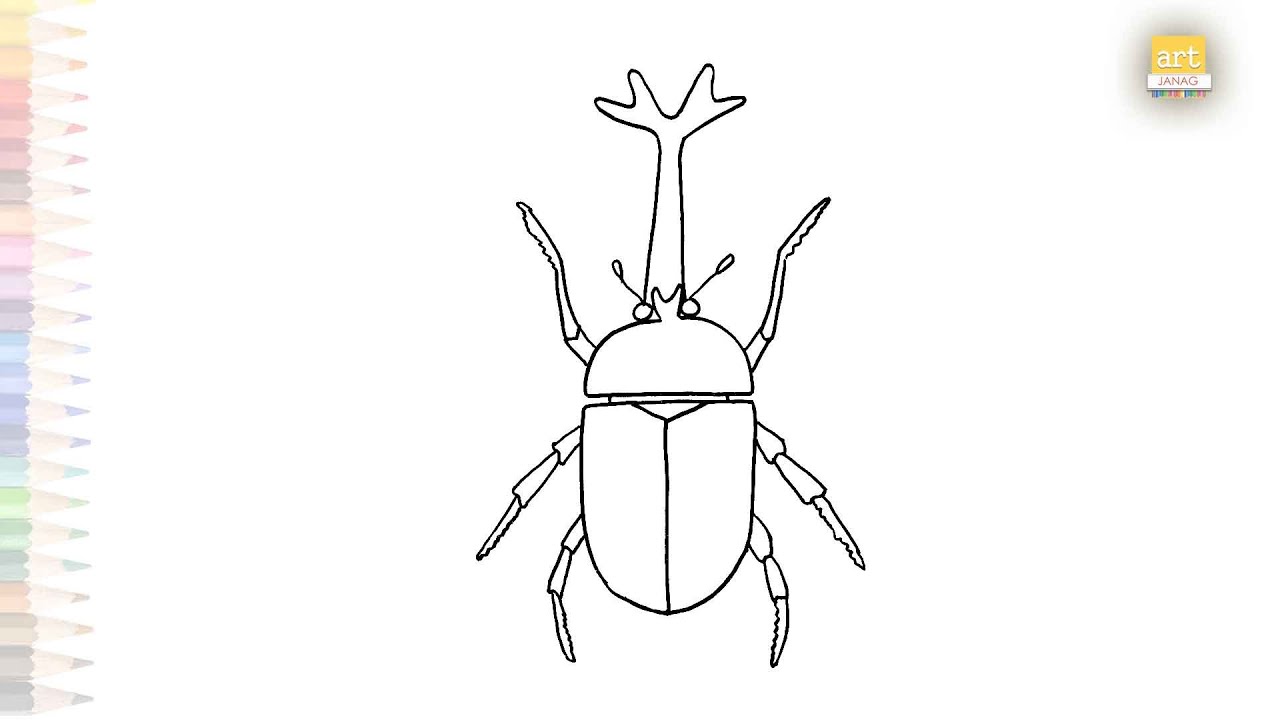 Japanese rhinoceros beetle drawing easy | Insect sketches | How to draw A rhinoceros beetle simply