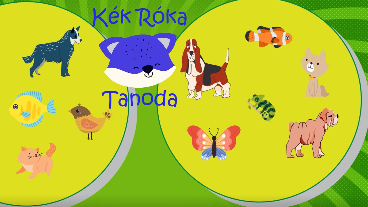 Játékos Feladatok Gyerekeknek #1 - Kék Róka Tanoda