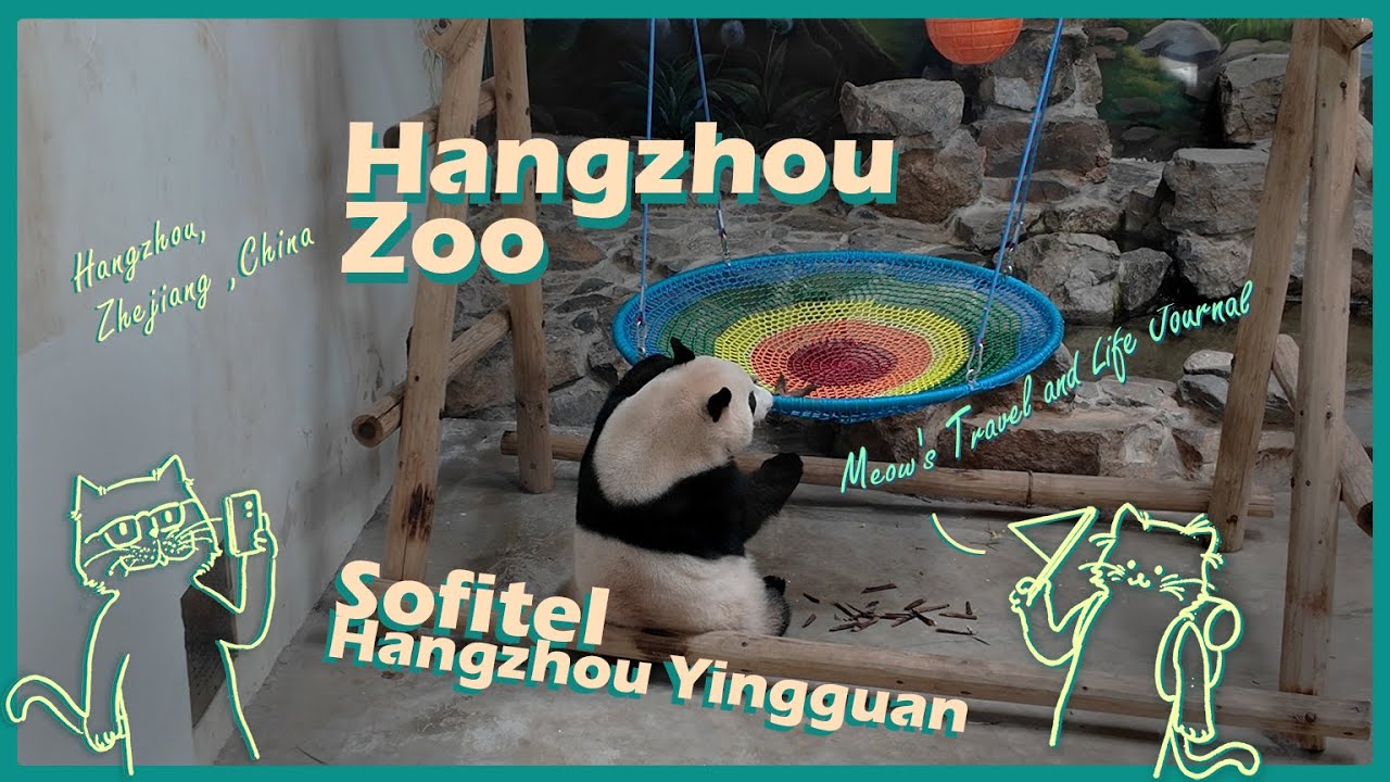 Hangzhou Zoo & Sofitel Dinner: A Day of Fun, Food & Luxury | China Vlog
