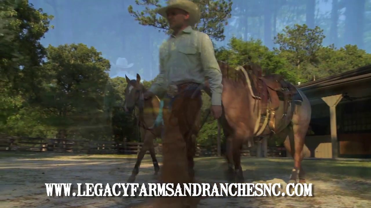 North Carolina Horse Farm with Home and Beautiful Lake in Turkey NC