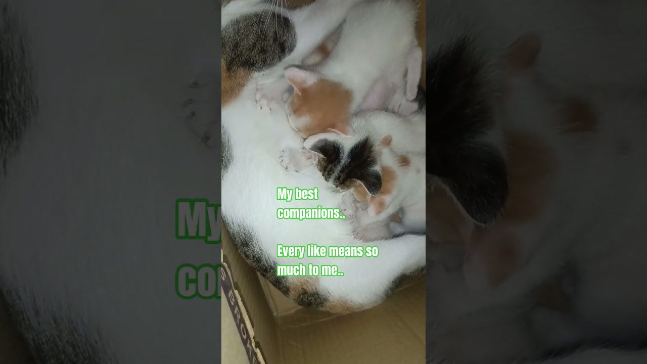 Мой лучший друг, который мне всегда нравился, значит для меня очень много.
