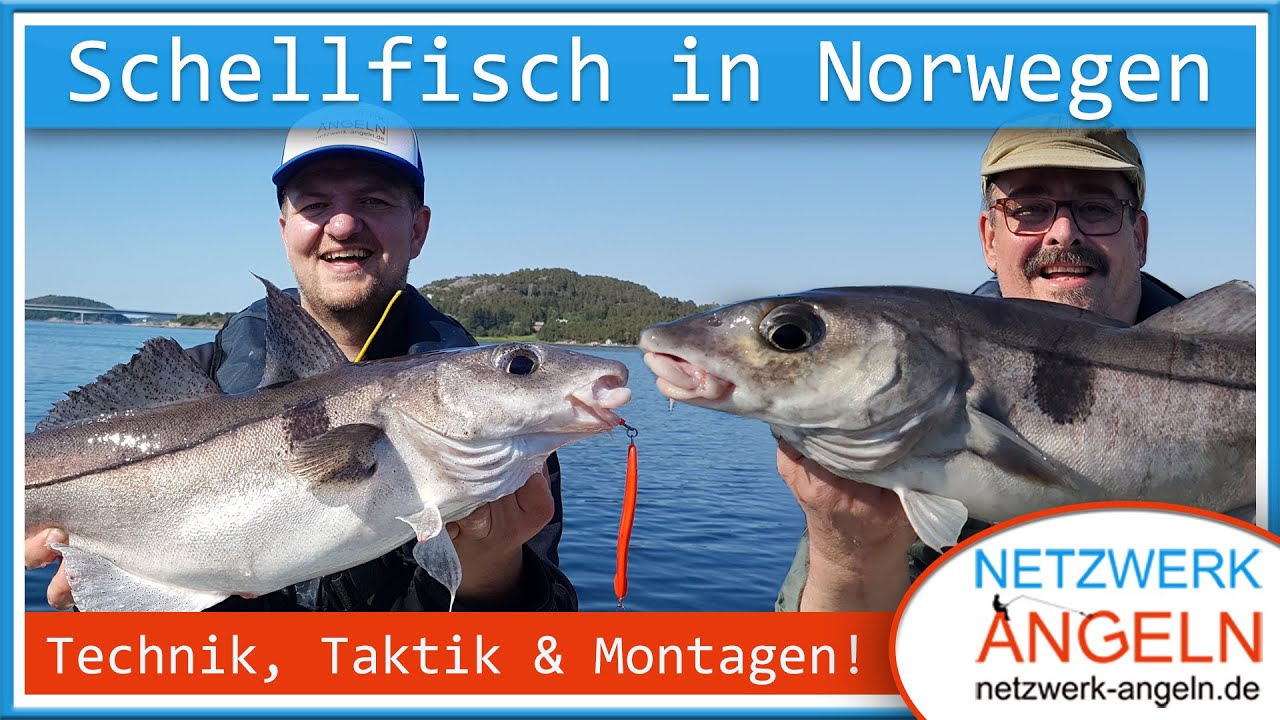 Angeln in Norwegen: Schellfisch - Technik, Taktik & Montagen am Imarsund