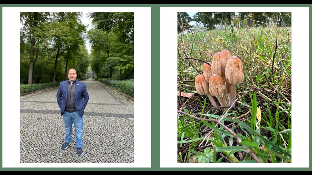 Resistant fungal infections: A real emerging threat
