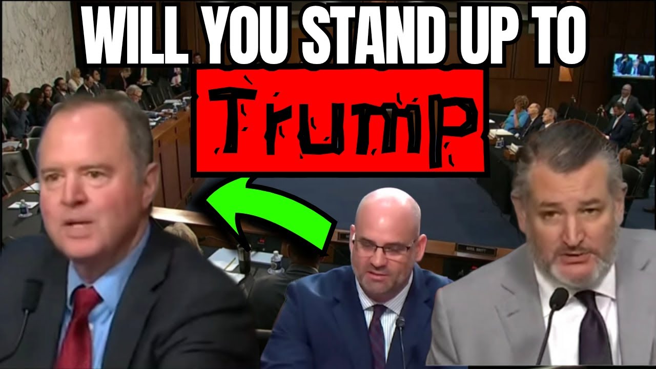 Шифф и Круз допрашивают кандидата в судьи