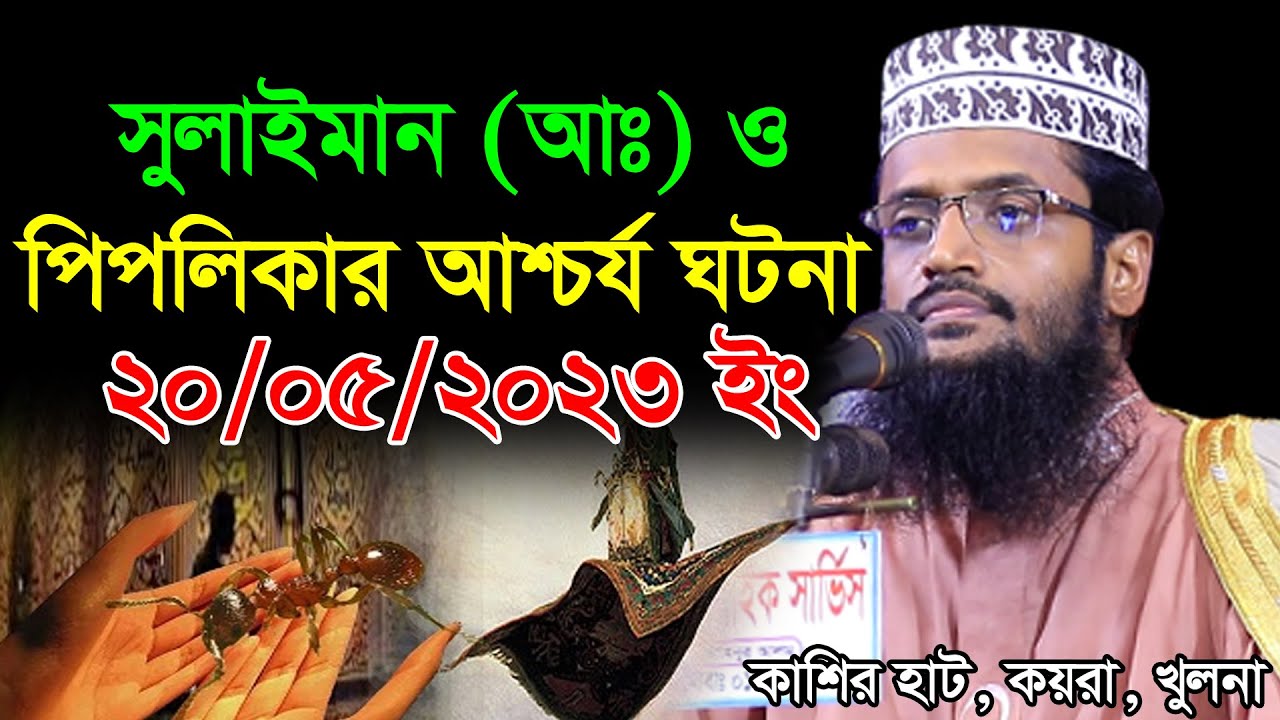 Abdullah Al Amin New Waz 2023 | সুলাইমান (আঃ) ও পিপলিকার ঘটনা | আব্দুল্লাহ আল আমিনের সেরা ওয়াজ ২০২৩