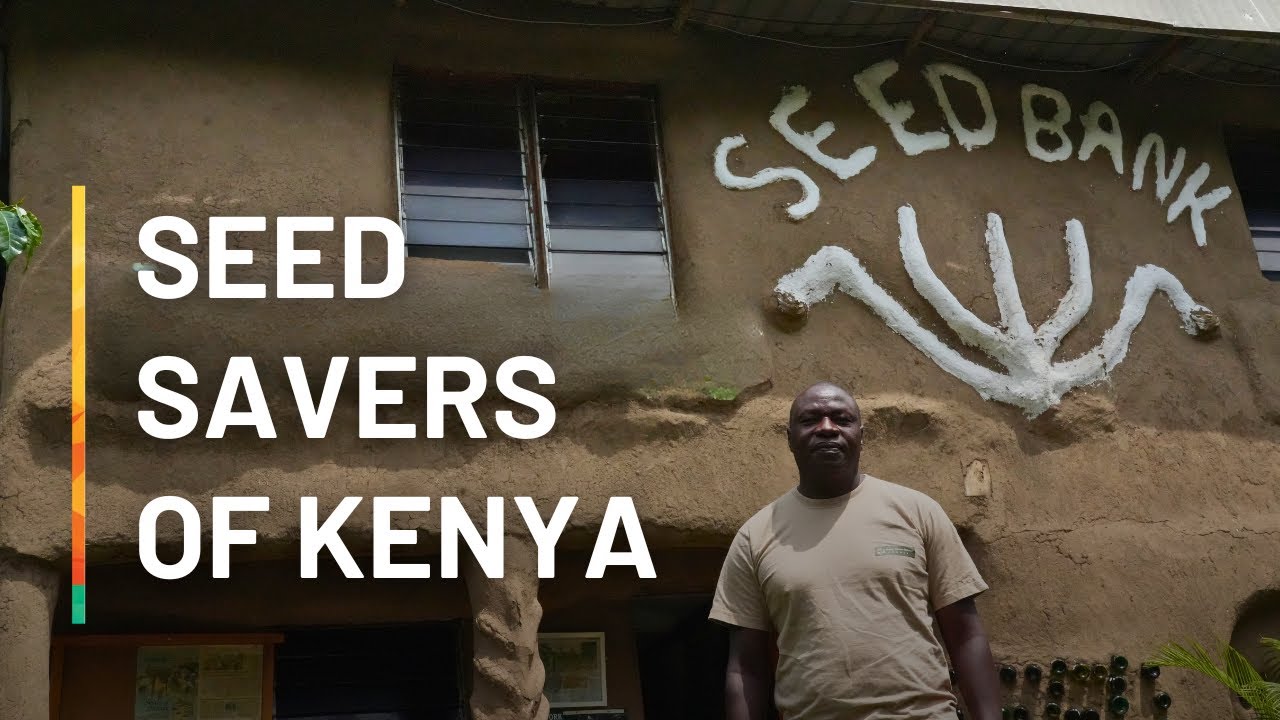 Seed Savers of Kenya | The Farmers Protecting Kenya’s Indigenous Seeds