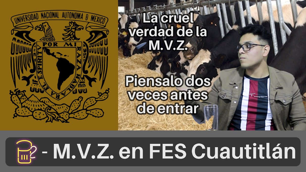 P2 U - Estudiar Medicina veterinaria y zootecnia en FES Cuautitlán
