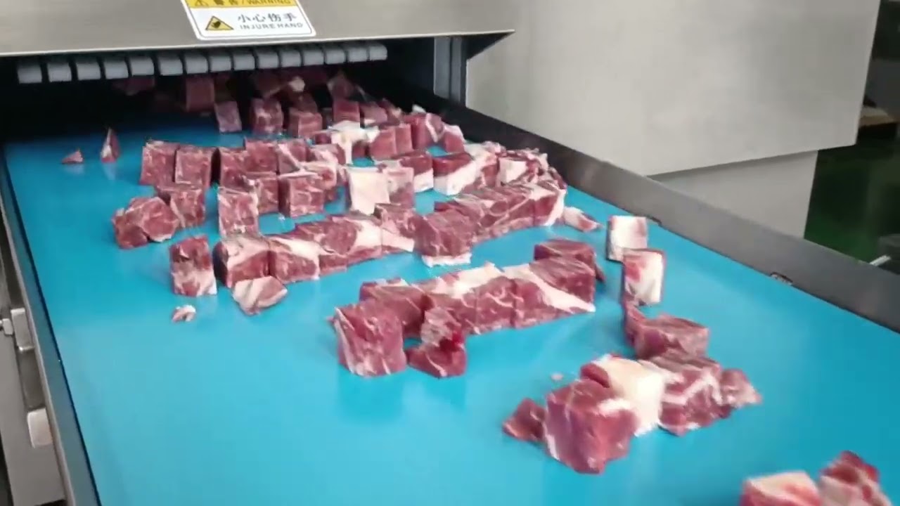 2D Frozen meat cube cutting Machine