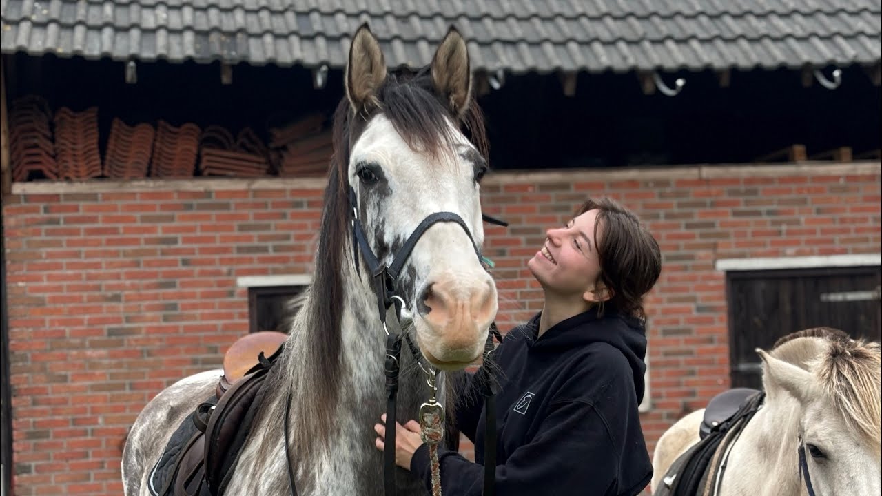 Oktoberweekendje RC het Fjordenpaard 2025