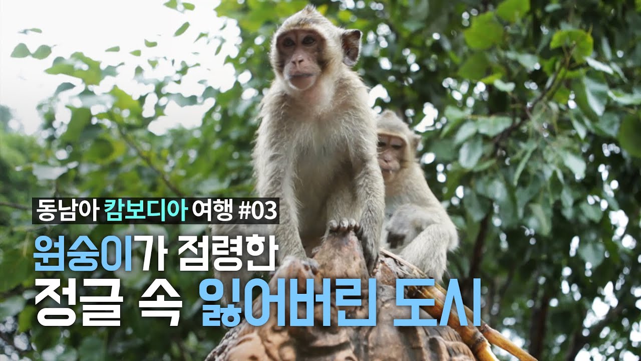 캄보디아 프놈펜 여행. 캄보디아의 옛 수도 '프놈우동(Phnom Oudong)'과 불교사찰 '왓 프놈(Wat Phnom)' 이야기