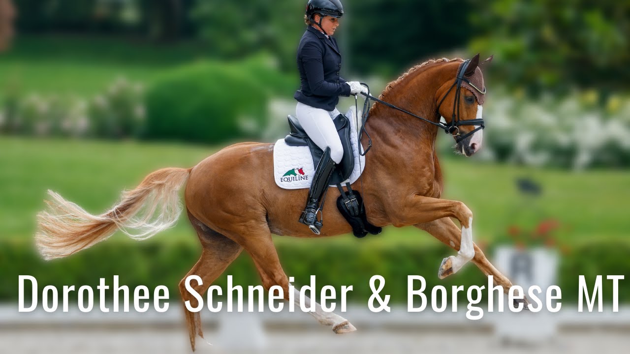 Borghese MT hat eine ganz besondere Farbe 💛 | Dorothee Schneider qualifiziert ihn zum BuCha 🤩