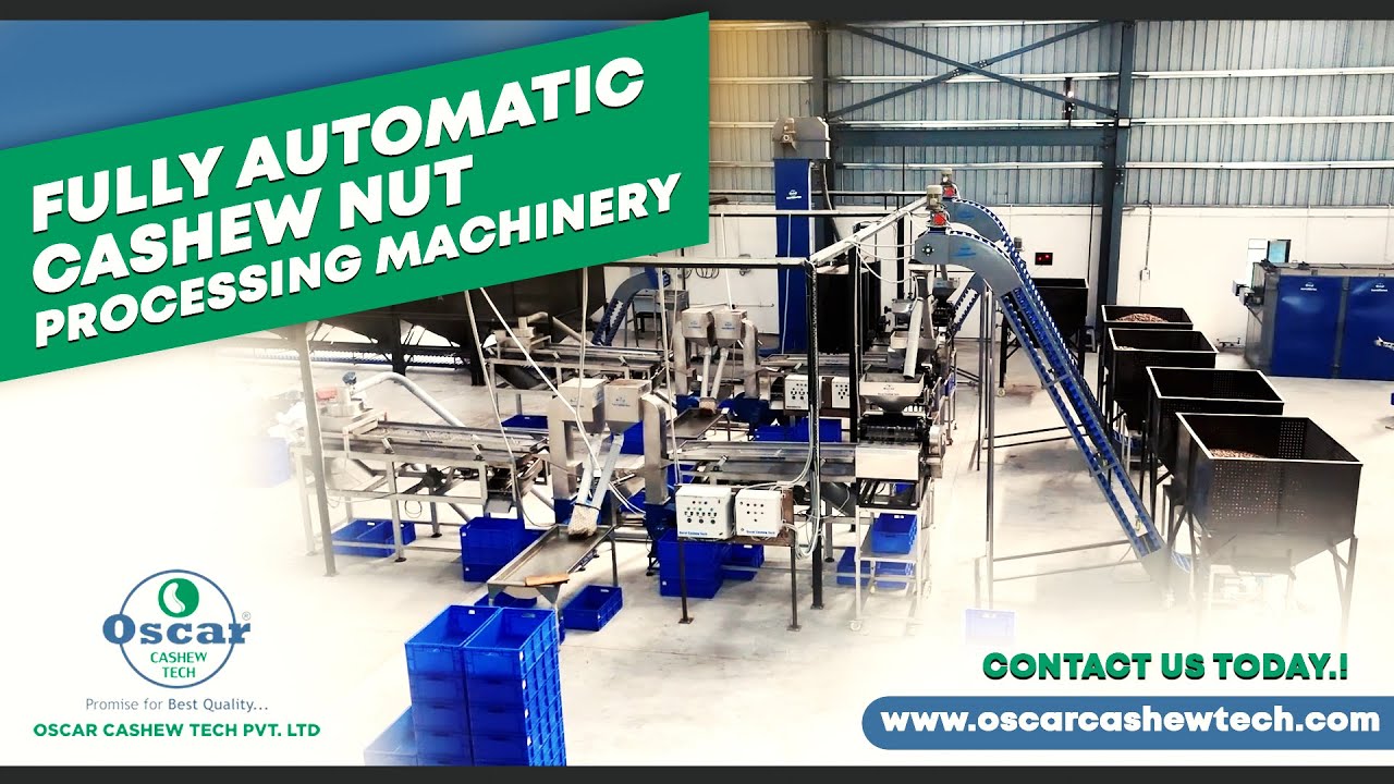 Ultra Modern Fully Automatic Turnkey Cashew Processing Plant | Cashew Machinery | Oscar Cashew Tech