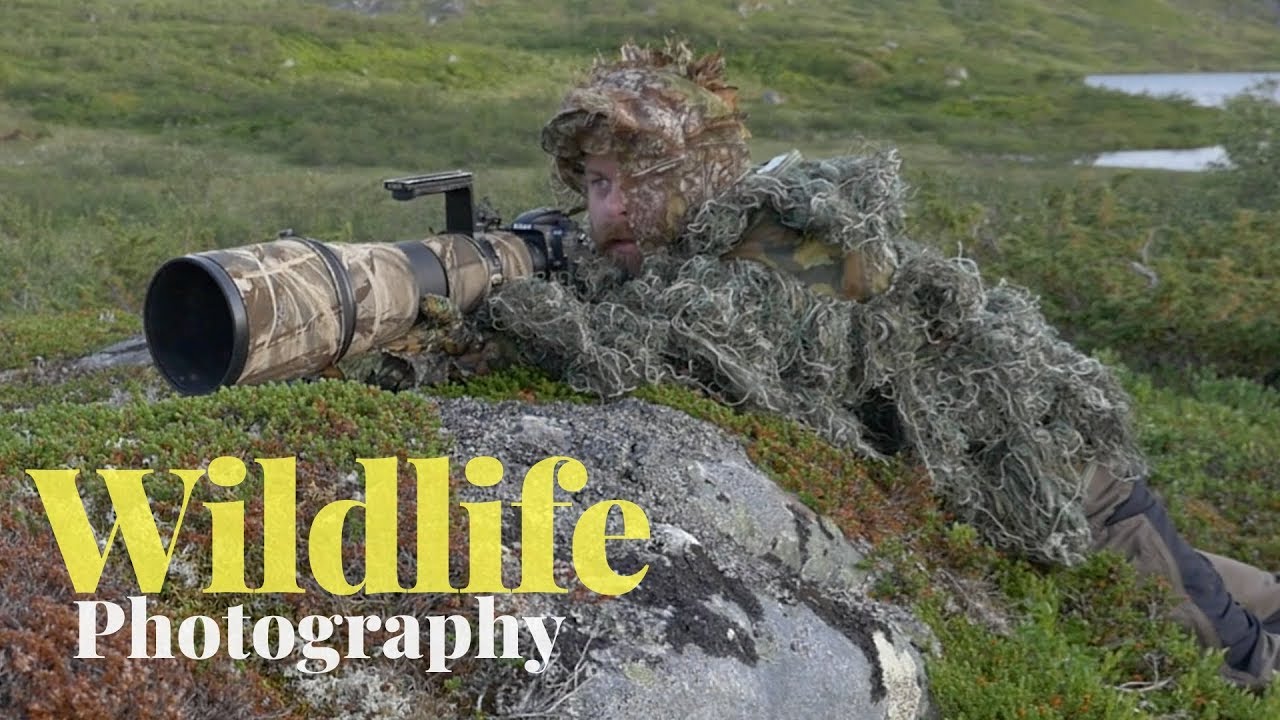 1 DAY SOLO CAMPING AND WILDLIFE PHOTOGRAPHY ON AN ISLAND | campfire, camouflage, fishing