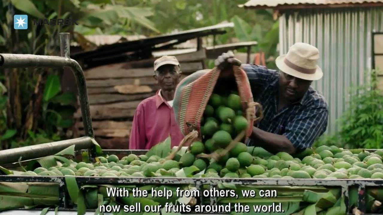 Maersk in Kenya and avocado trade