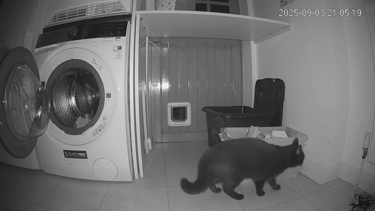 Sure Petcare dual scan catflap tailgate FAIL