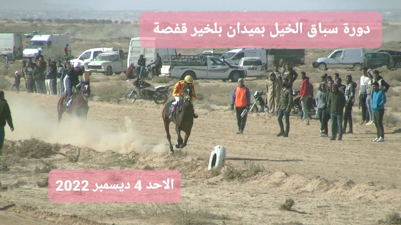 دورة سباقات الخيل بمضمار بلخير ولاية قفصة اليوم 4 ديسمبر 2022