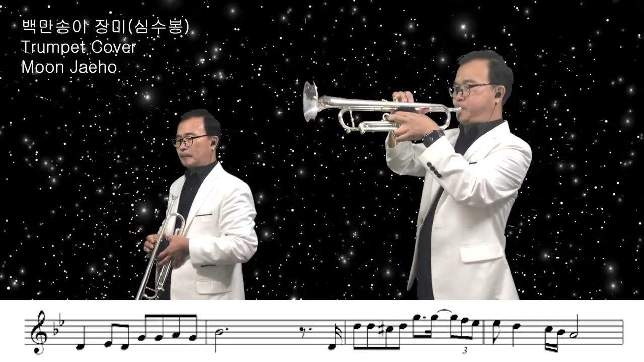 백만송이 장미(심수봉)Trumpet Cover Moon Jaeho