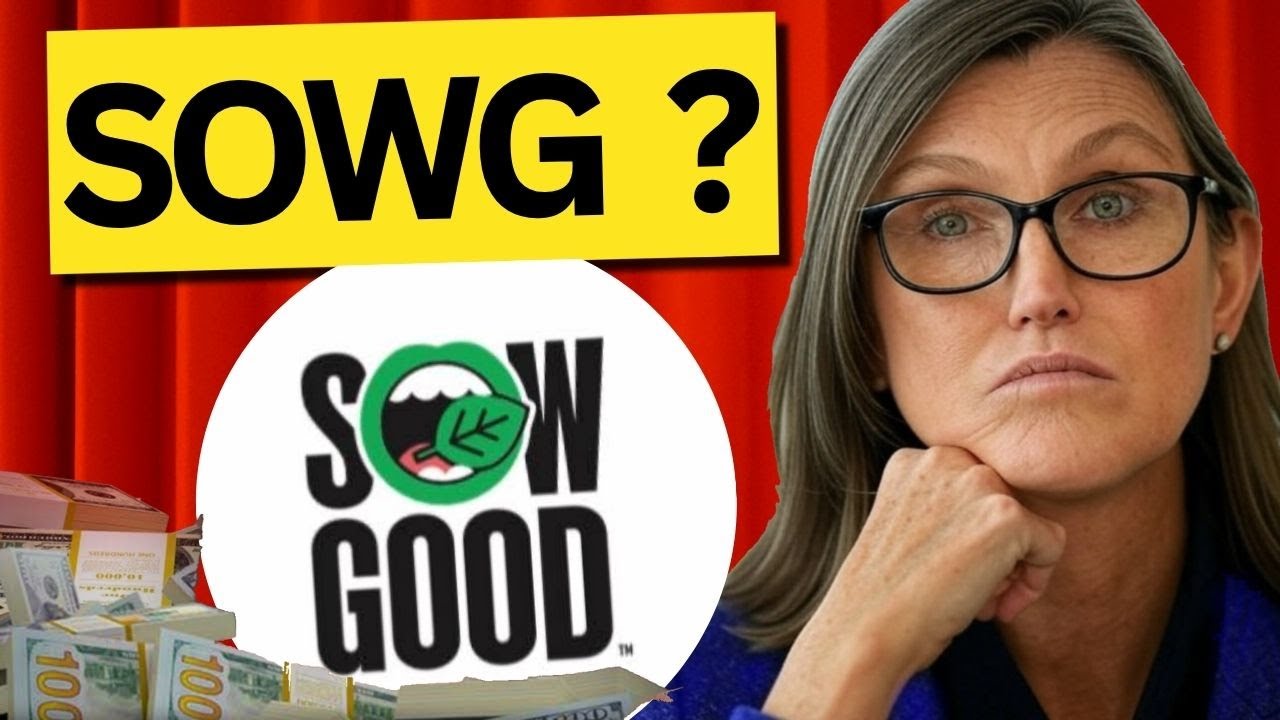 SOWG Stock FRIDAY UPDATE! (The Exact Answer!?) Sow Good best stock broker review