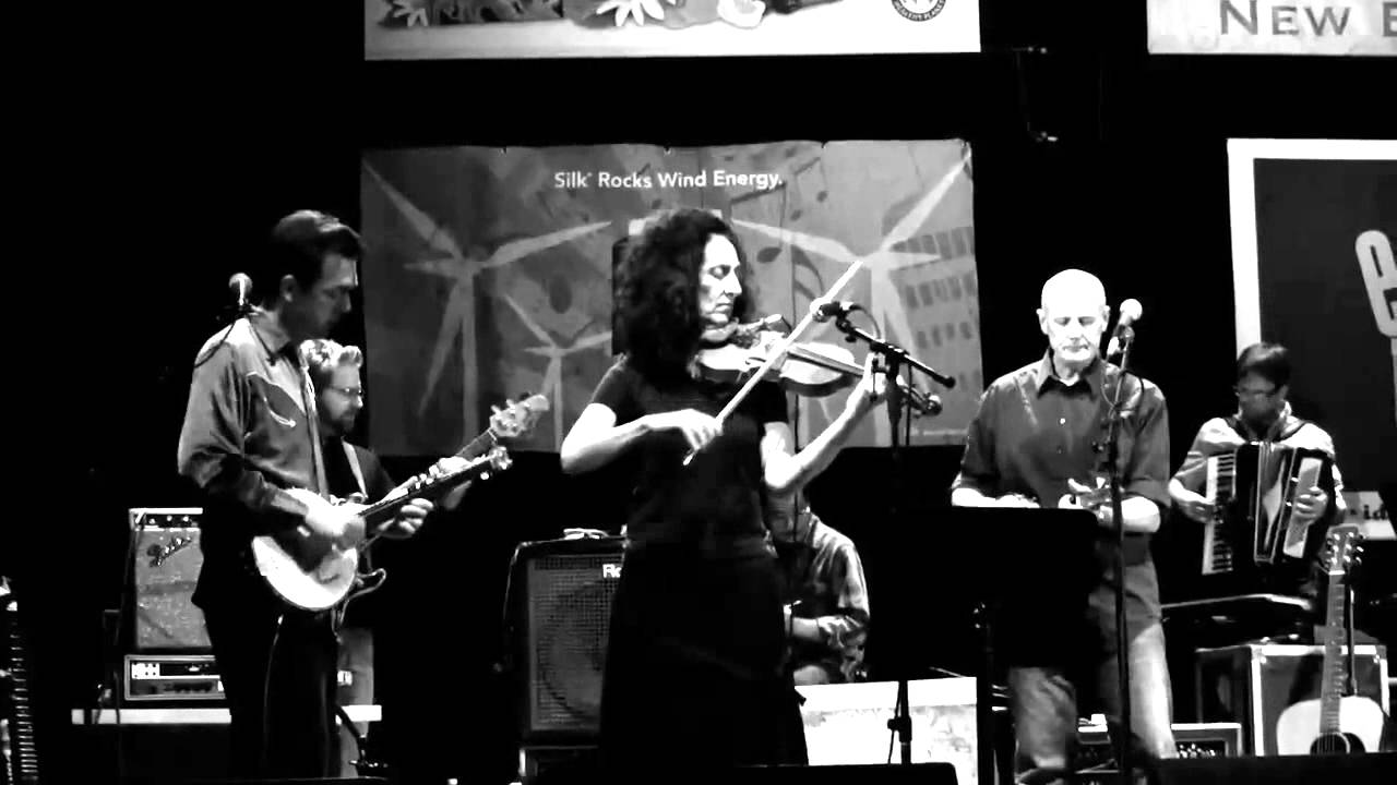 The Horseflies : 14 Reasons  ( live )