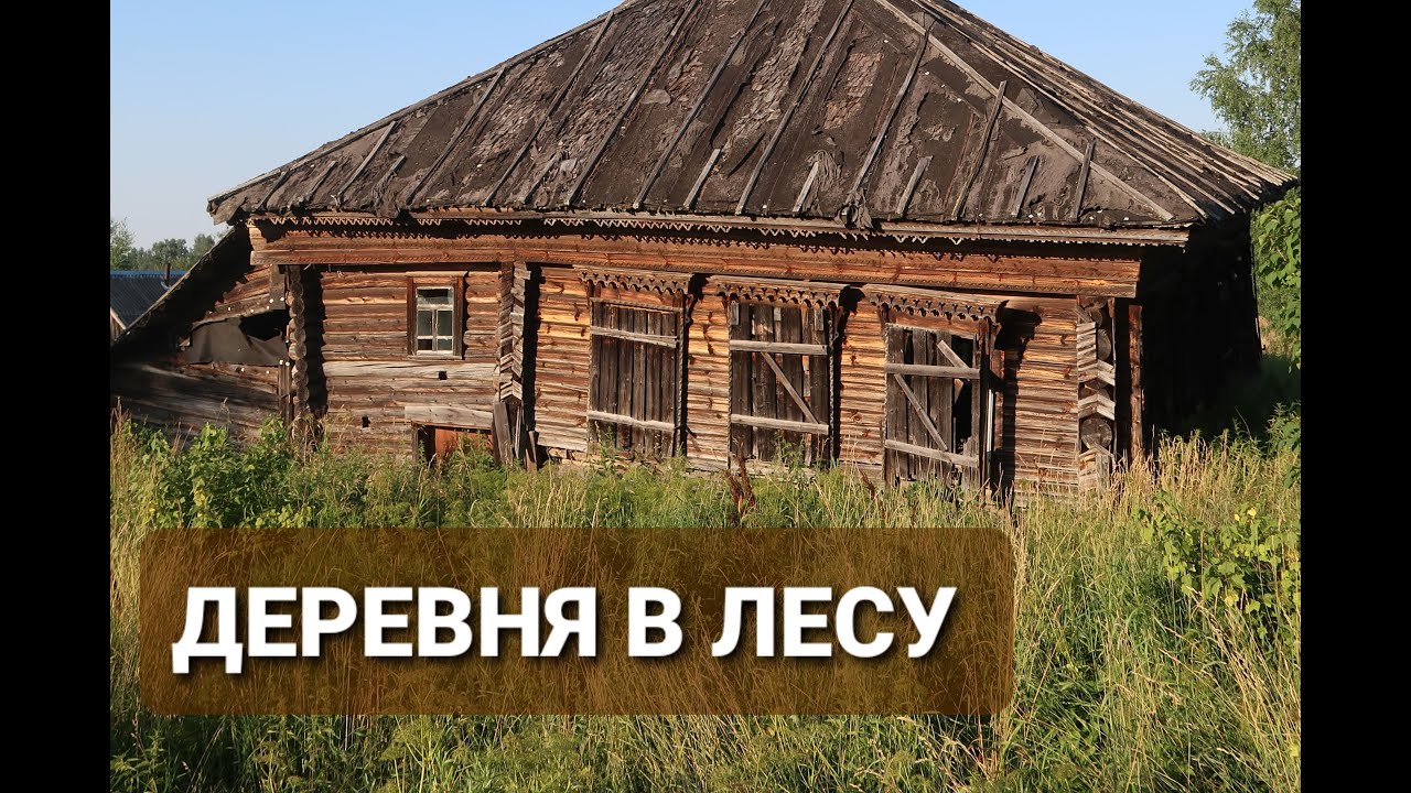 Заброшенные деревни Ярославской области. Множество домов в лесу