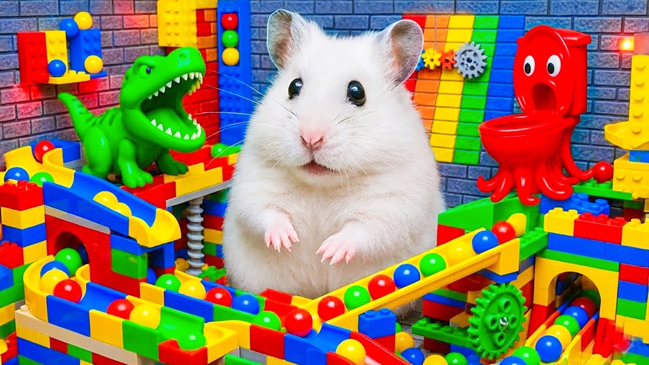 Hamster Escapes from Crocodile & Toilet Squid in Marble Drop Maze | Hamster Maze