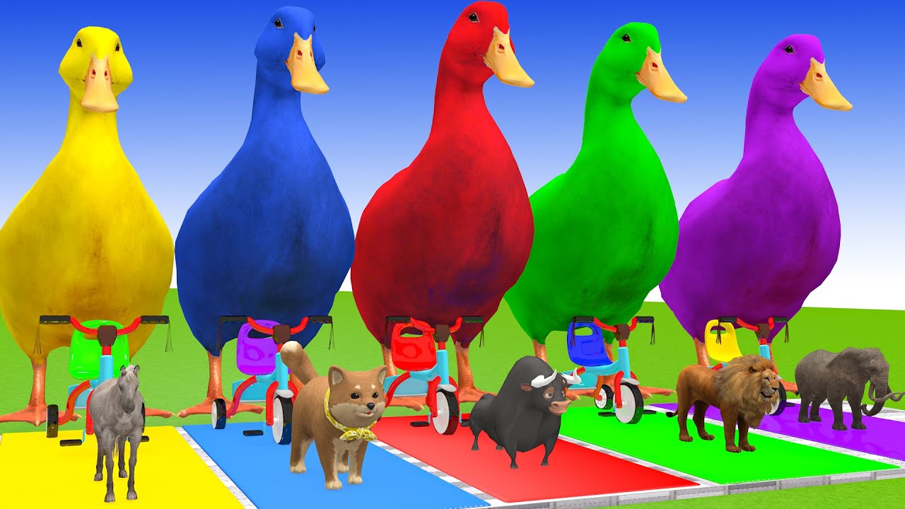 Long Slide Game With Cow Elephant Gorilla Hippopotamus Tiger 3d Animal Game Funny 3d Animals