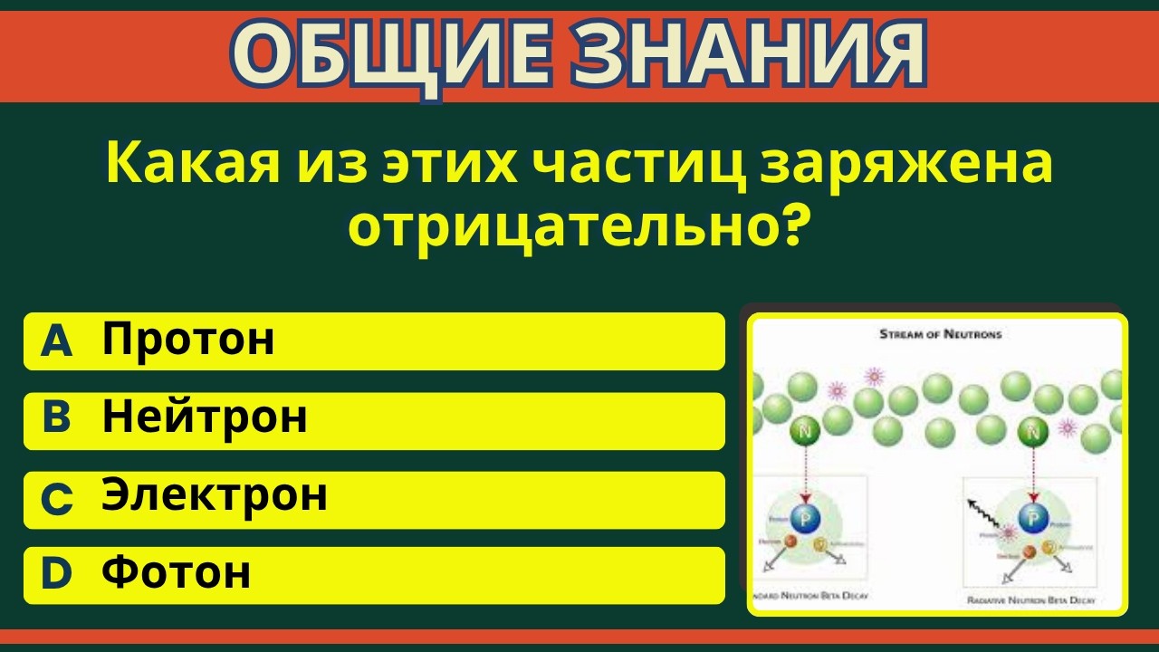 Тест на эрудицию и общие знания | ГК | ОБЩИЕ ЗНАНИЯ | IQ-ТЕСТ #ОБЩИЕ ЗНАНИЯ