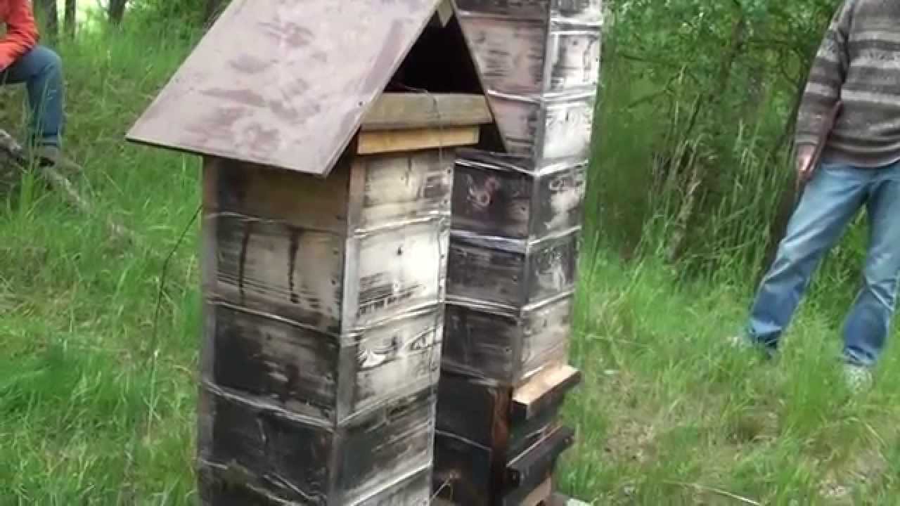 ŠPV Vilémov 2014 člověk plný včel - japonský úl - japanese beehive # 3