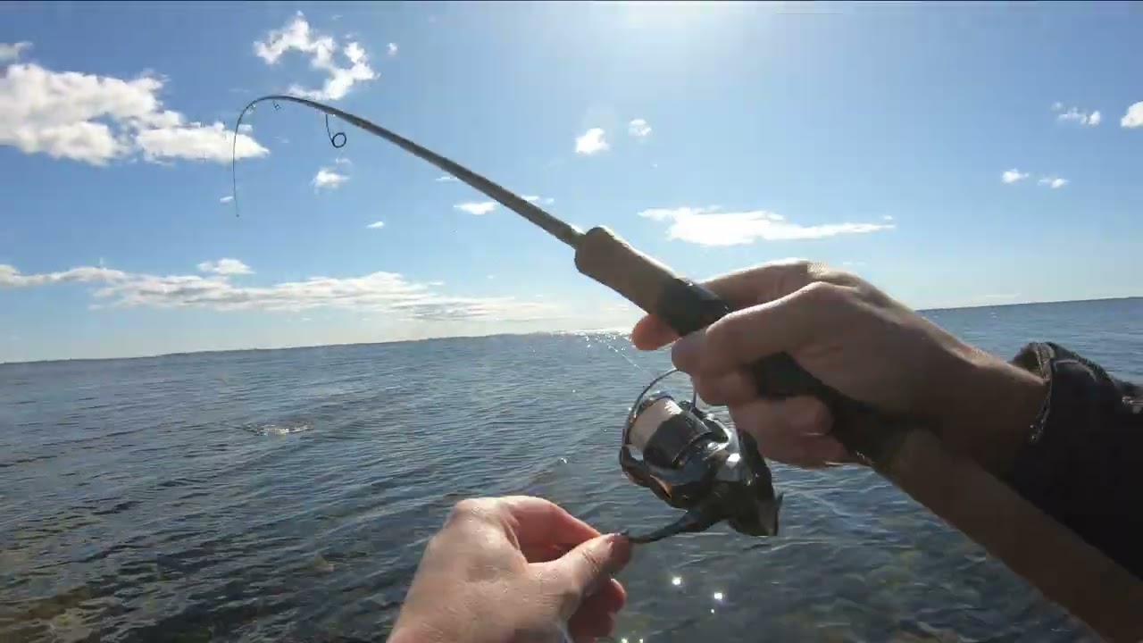 Forårsfiskeri efter havørreder på Sydsjælland 2 eftermiddage i start April