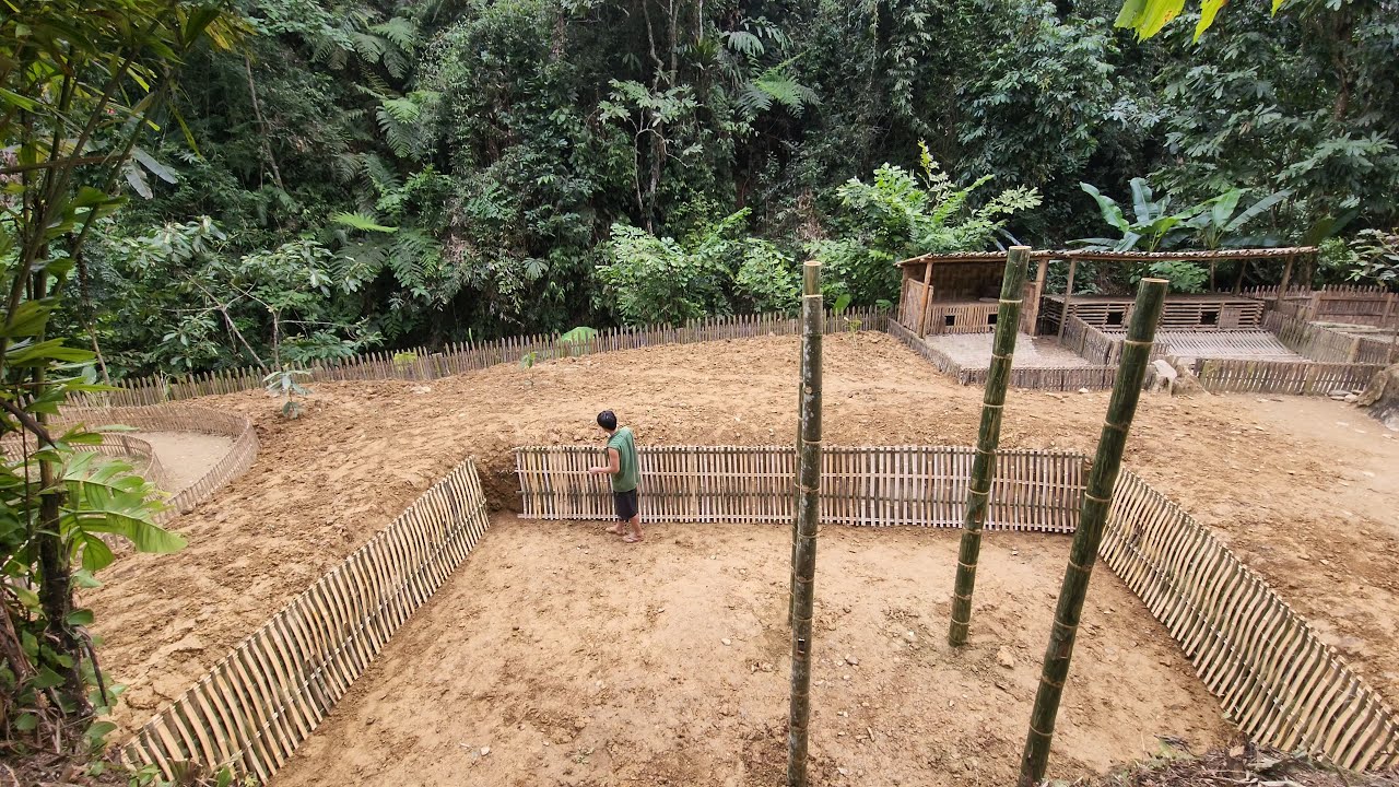 FULL VIDEO : 60 Days To Build A New Life, The Life Of A Farmer Living Alone In The Forest