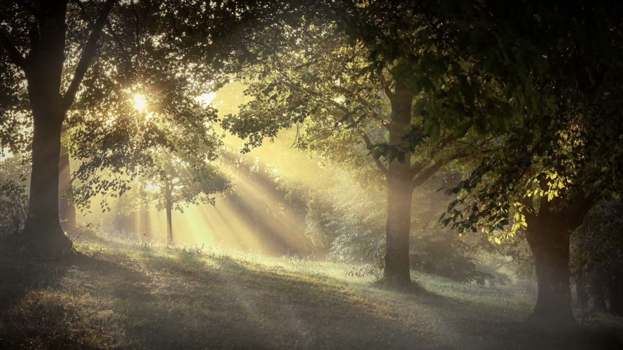 mind refershing music/stress relief music/meditation music/relaxing music for stress relief