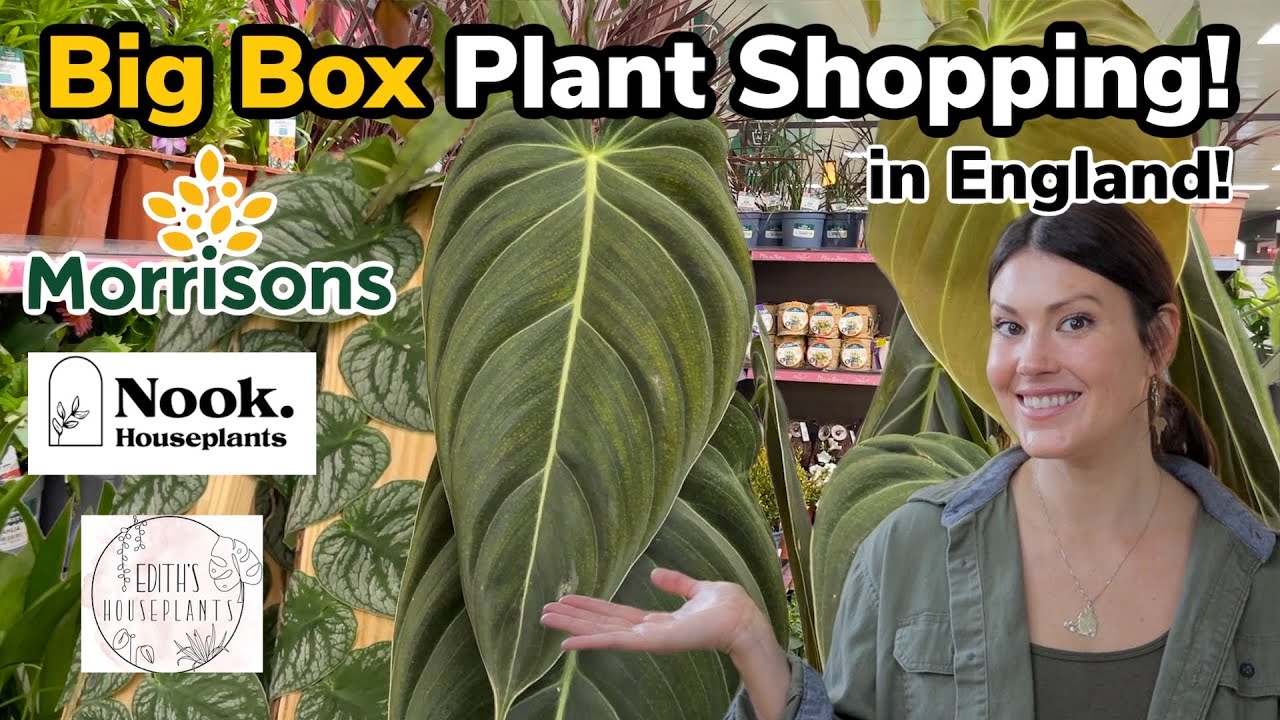 BIG BOX Plant Shopping In England! Plus Two Indoor Plant Shops! Beautiful Houseplant Shopping