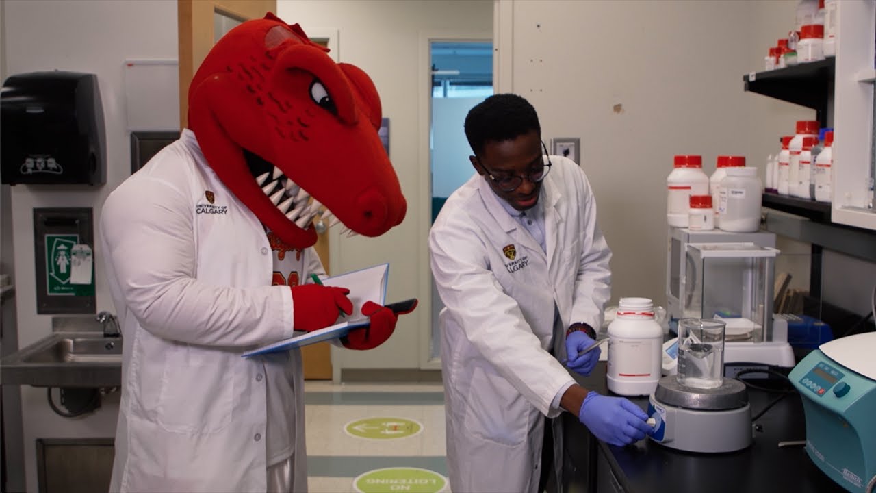 Rex's Big Research Adventure