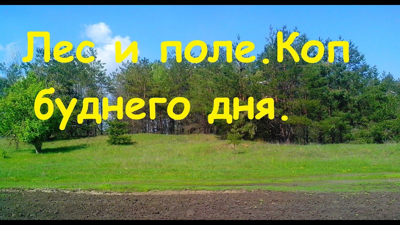 КОП 2018 Лес и поле Коп буднего дня.Поиск монет.