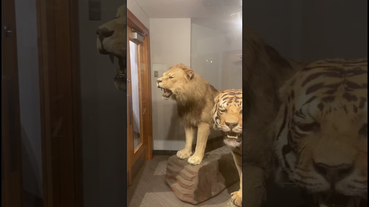 Boston Museum of Science - pt. 1 