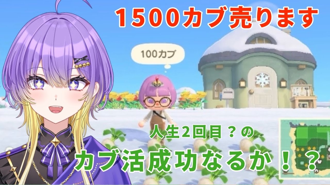 【あつ森】人生2回目のカブ活1500カブ売ります！！